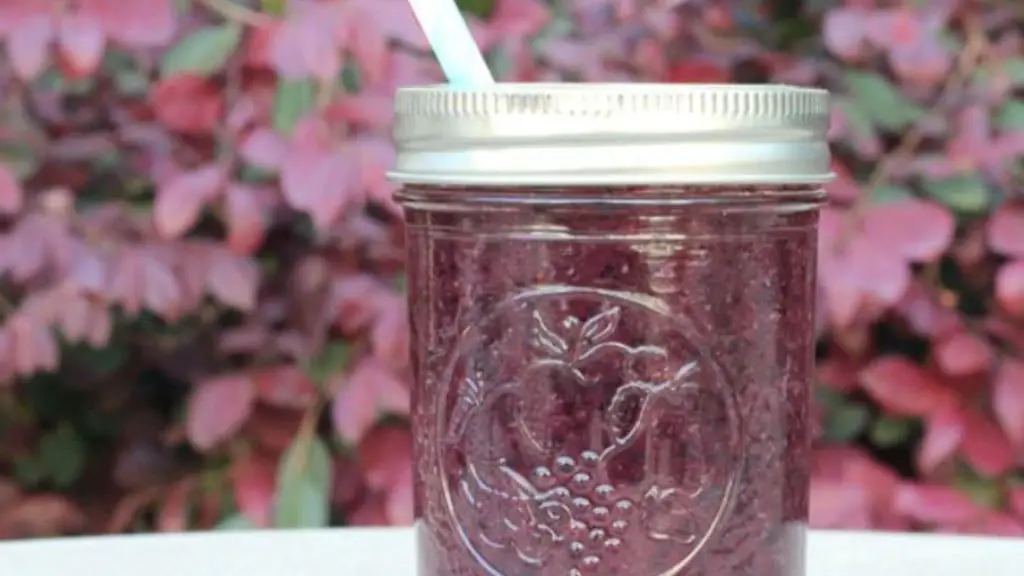 Blueberry Smoothie Recipe Without Yogurt